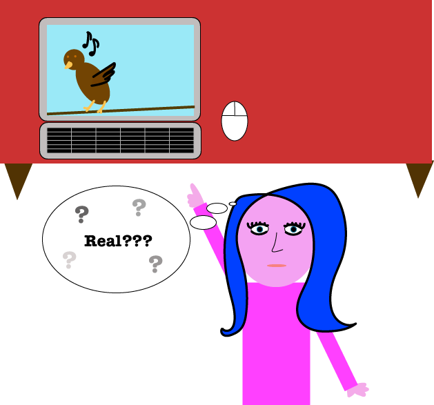 Bird Sounds Pellets from the Universe